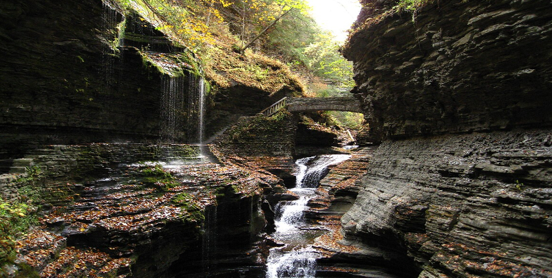 Watkins Glen State Park